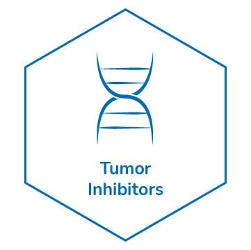 Tumor Inhibitors